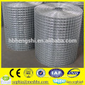 welded wire fence mesh 5x5 Anping